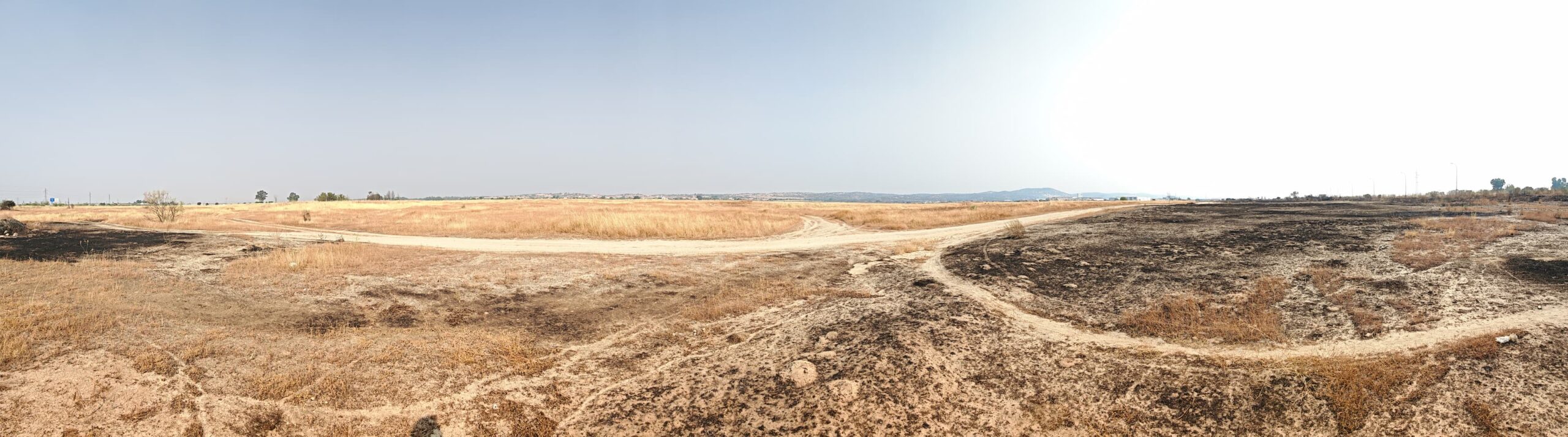 Talavera de la Reina