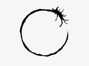 arrival1-1-600x450